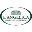 L'ANGELICA L'ANGELICA